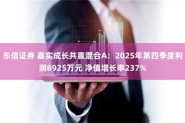 东信证券 嘉实成长共赢混合A：2025年第四季度利润8925万元 净值增长率237%