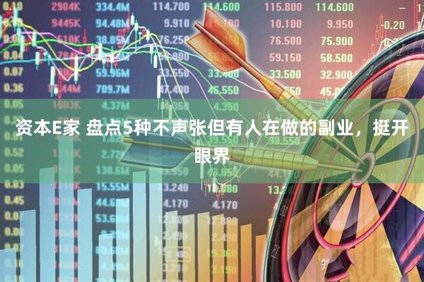 资本E家 盘点5种不声张但有人在做的副业，挺开眼界