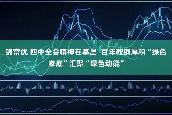 锦富优 四中全会精神在基层  百年鞍钢厚积“绿色家底”汇聚“绿色动能”