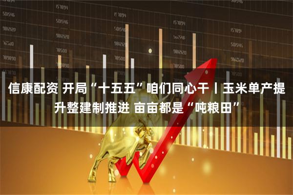 信康配资 开局“十五五”咱们同心干丨玉米单产提升整建制推进 亩亩都是“吨粮田”